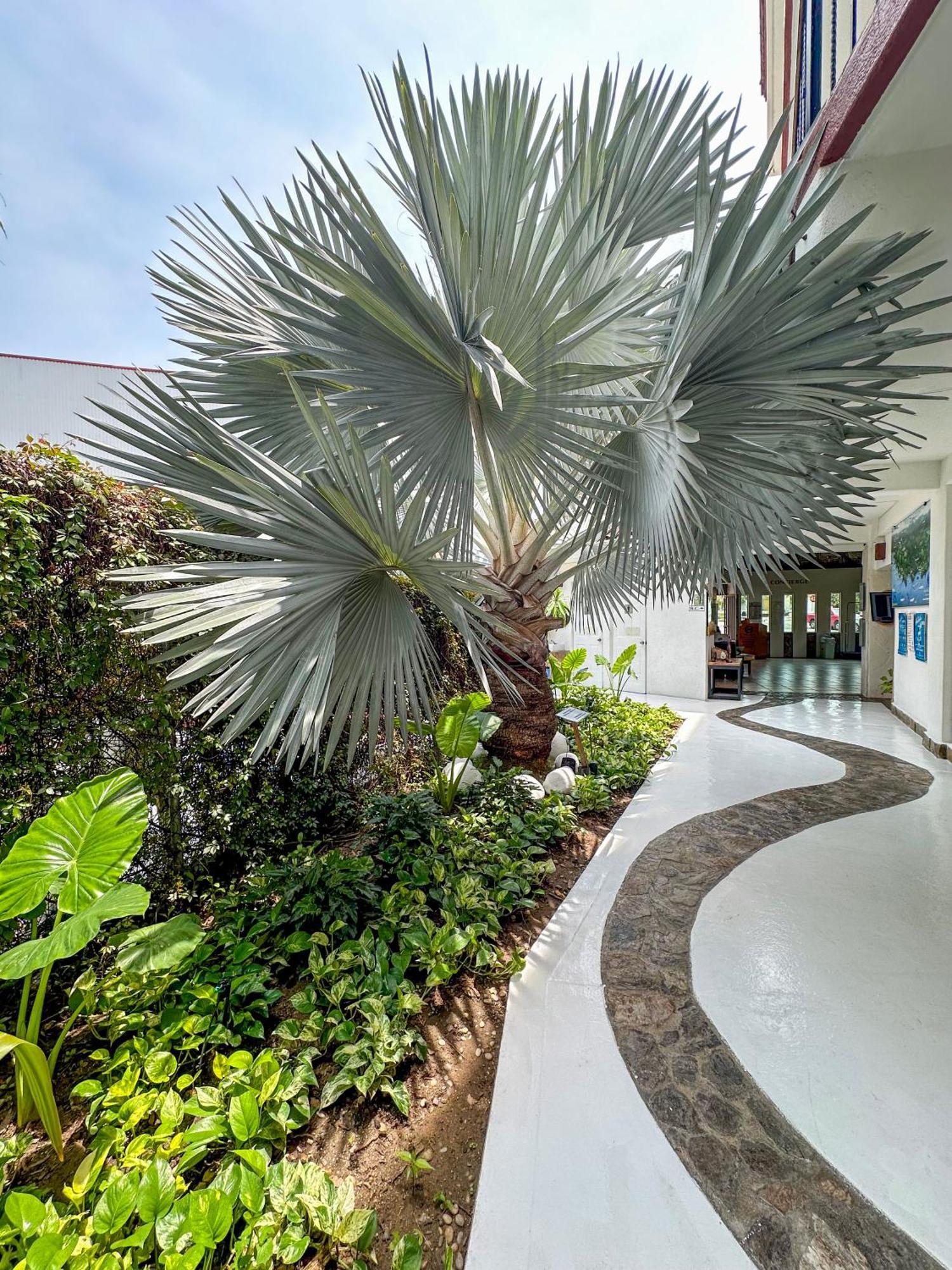 Best Western Posada Chahue Santa Cruz - Huatulco Exterior foto